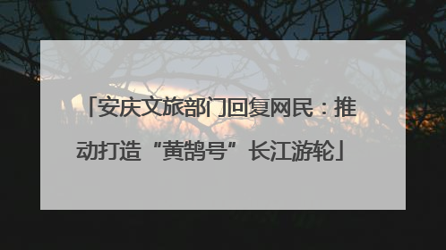 安庆文旅部门回复网民：推动打造“黄鹄号”长江游轮