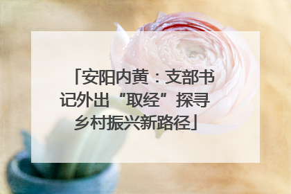 安阳内黄：支部书记外出“取经”探寻乡村振兴新路径