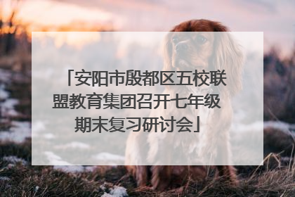 安阳市殷都区五校联盟教育集团召开七年级期末复习研讨会