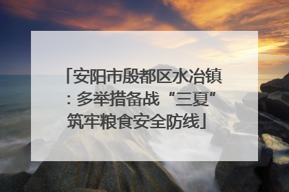 安阳市殷都区水冶镇：多举措备战“三夏” 筑牢粮食安全防线
