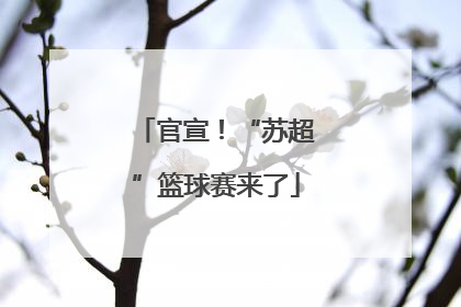 官宣！“苏超”篮球赛来了