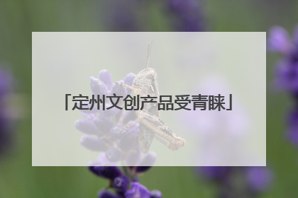 定州文创产品受青睐