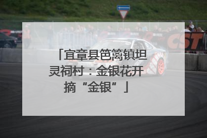 宜章县笆篱镇坦灵祠村：金银花开摘“金银”