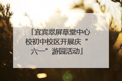 宜宾翠屏草堂中心校初中校区开展庆“六一”游园活动