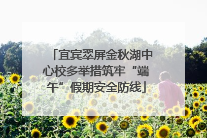 宜宾翠屏金秋湖中心校多举措筑牢“端午”假期安全防线