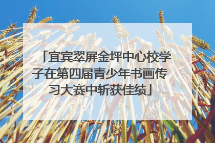宜宾翠屏金坪中心校学子在第四届青少年书画传习大赛中斩获佳绩