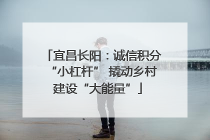 宜昌长阳：诚信积分“小杠杆” 撬动乡村建设“大能量”