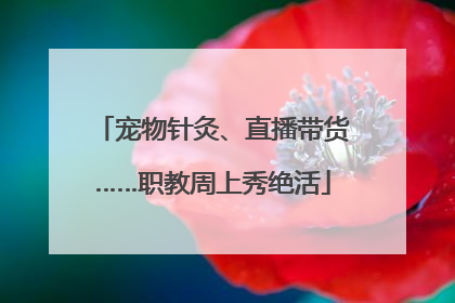 宠物针灸、直播带货……职教周上秀绝活