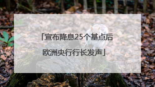 宣布降息25个基点后 欧洲央行行长发声