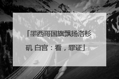 墨西哥国旗飘扬洛杉矶 白宫：看，罪证