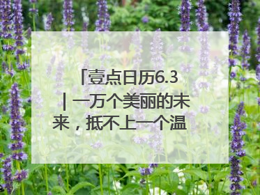 壹点日历6.3｜一万个美丽的未来，抵不上一个温暖的现在！早安