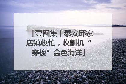 壹图集丨泰安邱家店镇收忙，收割机“穿梭”金色海洋