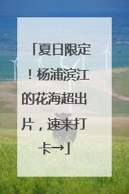 夏日限定！杨浦滨江的花海超出片，速来打卡→
