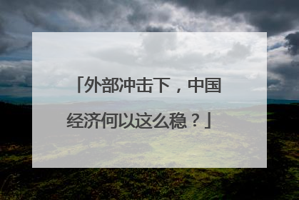 外部冲击下，中国经济何以这么稳？