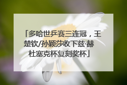 多哈世乒赛三连冠，王楚钦/孙颖莎收下兹·赫杜塞克杯复刻奖杯
