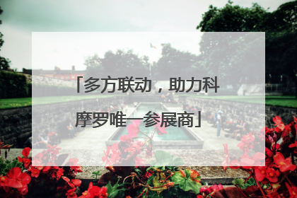 多方联动，助力科摩罗唯一参展商