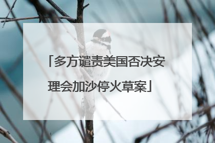 多方谴责美国否决安理会加沙停火草案