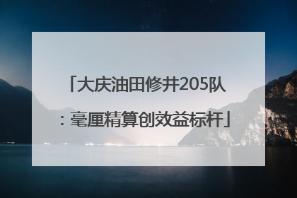大庆油田修井205队：毫厘精算创效益标杆
