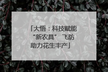 大悟：科技赋能“新农具” 飞防助力花生丰产