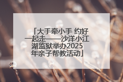 大手牵小手 约好一起走——沙洋小江湖监狱举办2025年亲子帮教活动