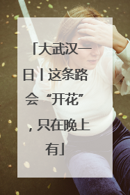 大武汉一日丨这条路会“开花”，只在晚上有