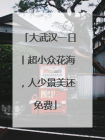 大武汉一日丨超小众花海，人少景美还免费