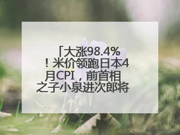 大涨98.4%！米价领跑日本4月CPI，前首相之子小泉进次郎将如何破局？