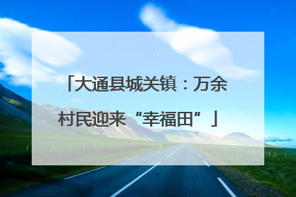 大通县城关镇：万余村民迎来“幸福田”
