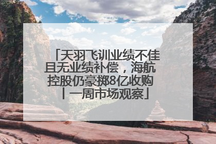 天羽飞训业绩不佳且无业绩补偿，海航控股仍豪掷8亿收购丨一周市场观察
