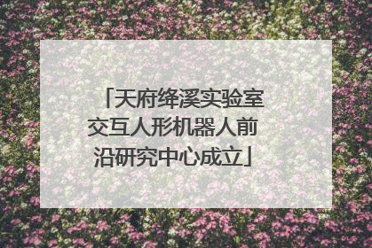 天府绛溪实验室交互人形机器人前沿研究中心成立