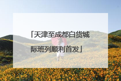 天津至成都白货城际班列顺利首发