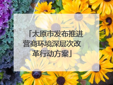 太原市发布推进营商环境深层次改革行动方案