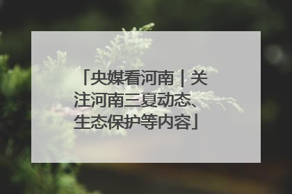 央媒看河南｜关注河南三夏动态、生态保护等内容