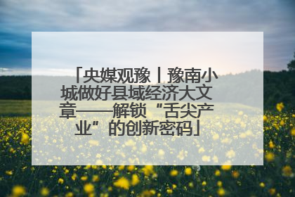 央媒观豫丨豫南小城做好县域经济大文章——解锁“舌尖产业”的创新密码