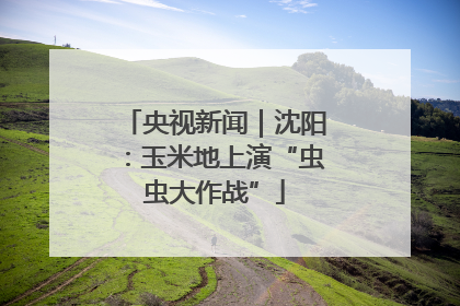 央视新闻｜沈阳：玉米地上演“虫虫大作战”