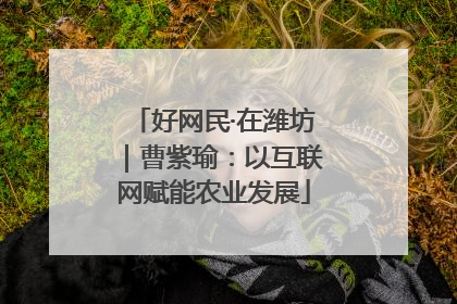 好网民·在潍坊｜曹紫瑜：以互联网赋能农业发展