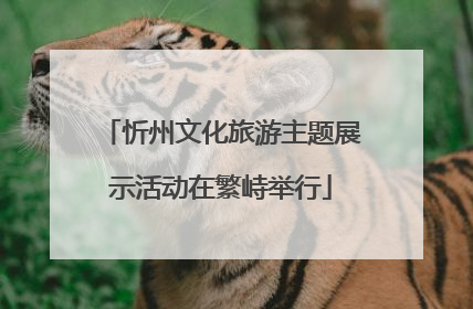 忻州文化旅游主题展示活动在繁峙举行