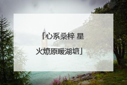 心系桑梓 星火燎原暖湖塘