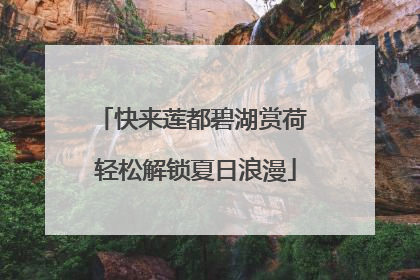 快来莲都碧湖赏荷 轻松解锁夏日浪漫