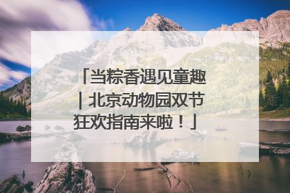 当粽香遇见童趣｜北京动物园双节狂欢指南来啦！