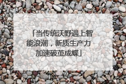当传统沃野遇上智能浪潮，新质生产力加速破茧成蝶