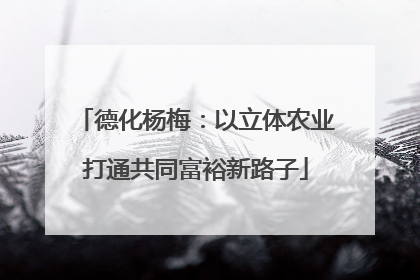 德化杨梅：以立体农业打通共同富裕新路子