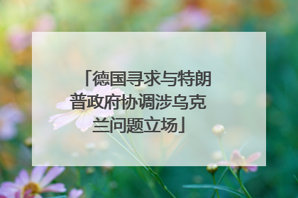 德国寻求与特朗普政府协调涉乌克兰问题立场