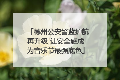 德州公安警蓝护航再升级 让安全感成为音乐节最强底色