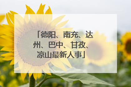 德阳、南充、达州、巴中、甘孜、凉山最新人事