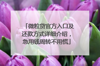 微粒贷官方入口及还款方式详细介绍，急用钱周转不用慌