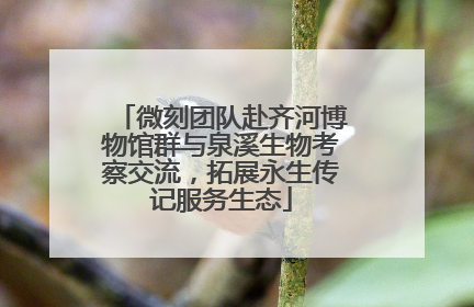微刻团队赴齐河博物馆群与泉溪生物考察交流，拓展永生传记服务生态