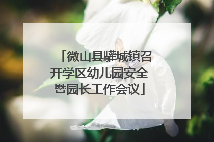 微山县驩城镇召开学区幼儿园安全暨园长工作会议