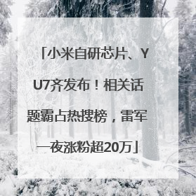 小米自研芯片、YU7齐发布！相关话题霸占热搜榜，雷军一夜涨粉超20万