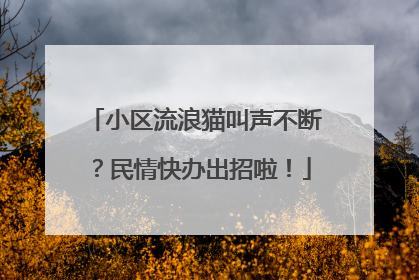 小区流浪猫叫声不断？民情快办出招啦！